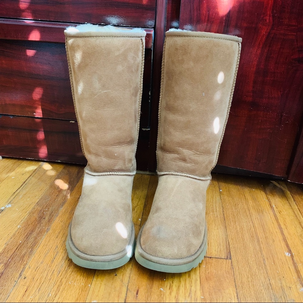 Chestnut tall ugg II boots